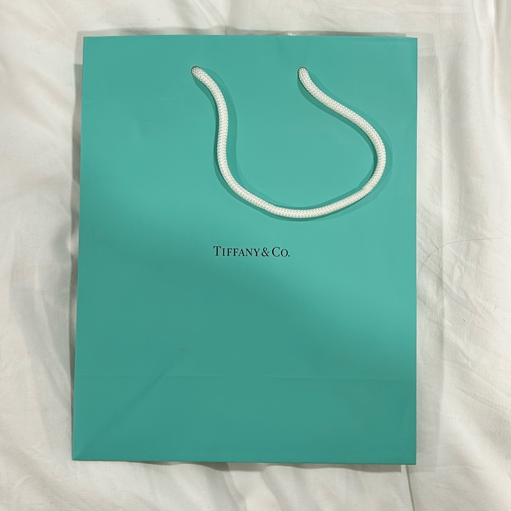 Tiffany & Co Shopping Bag - Picture 1 of 3